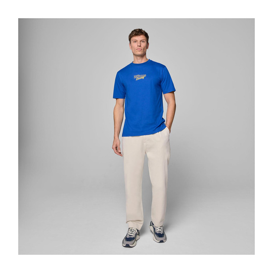 Koszulka t-shirt męska Pitlane Williams Racing 2025