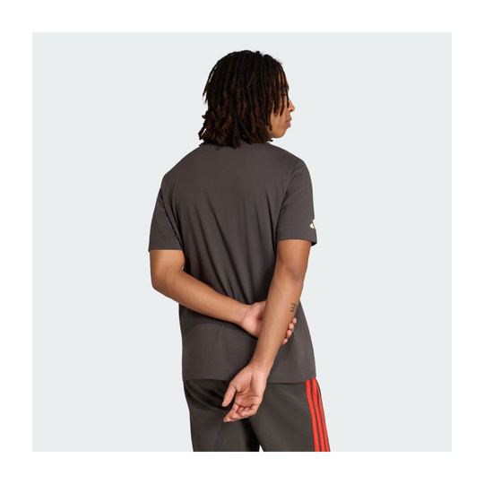 Koszulka t-shirt męska DNA Graphic szara Audi F1 2026