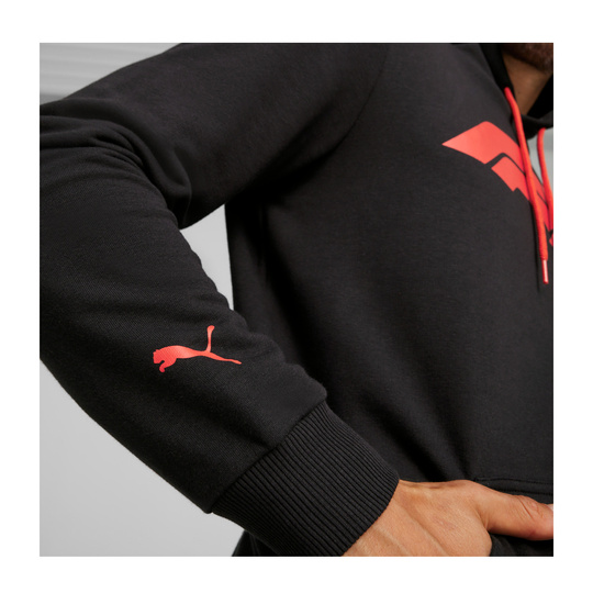 Bluza męska z kapturem Logo czarna Formuła 1 2026