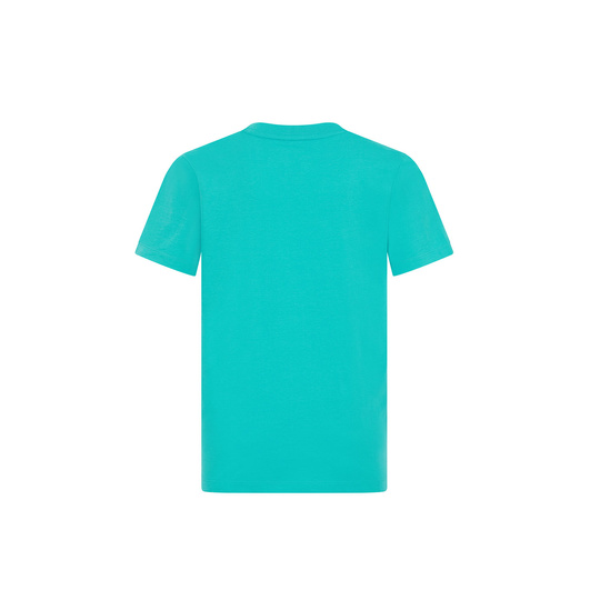 Koszulka t-shirt dziecięca Large Logo Mercedes AMG F1 2024