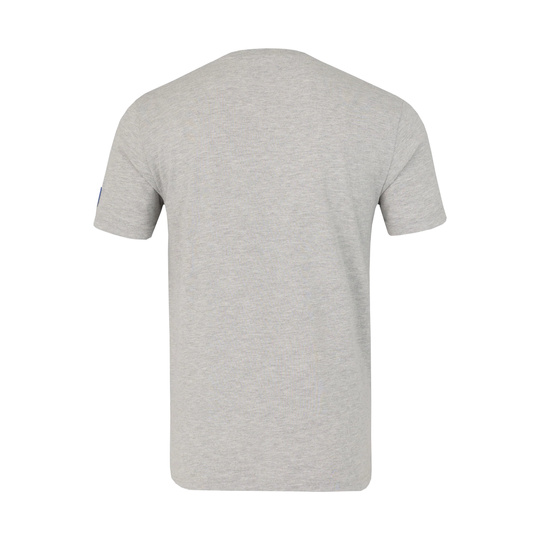 Koszulka t-shirt dziecięca Logo Regular Red Bull Racing F1 2026 szara