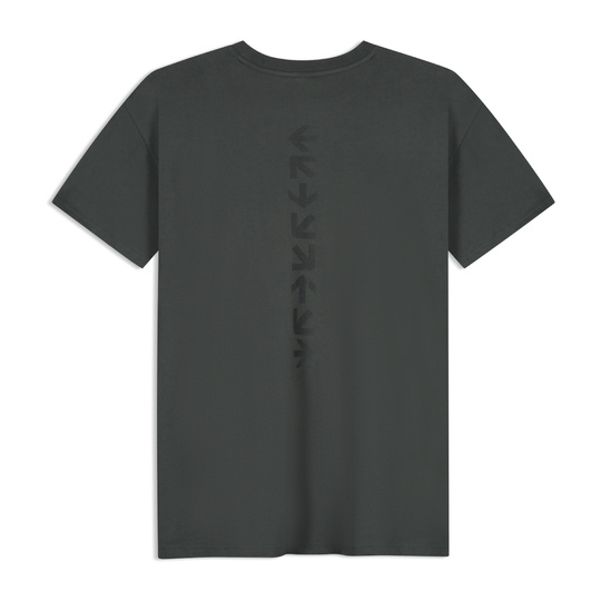 Koszulka t-shirt RDW Formula 1 2026 czarna