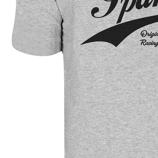 Koszulka t-shirt Vintage Sparco szara